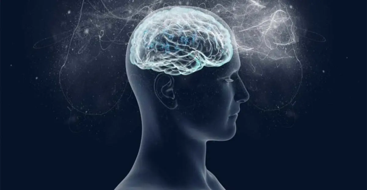  میوه پاییزیی که شفابخش ذهن است