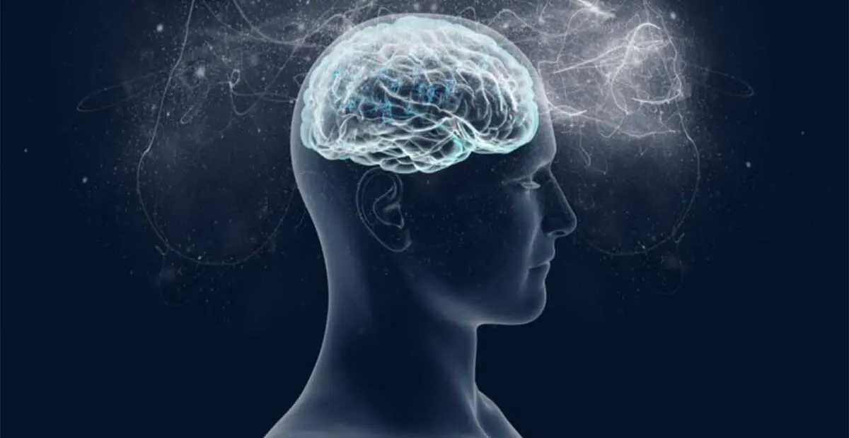  میوه پاییزیی که شفابخش ذهن است