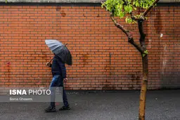 پیش‌بینی بارش باران در بیشتر مناطق کشور/ کاهش ۵ تا ۷ درجه‌ای دما در برخی مناطق
