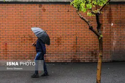 پیش‌بینی بارش باران در بیشتر مناطق کشور/ کاهش ۵ تا ۷ درجه‌ای دما در برخی مناطق
