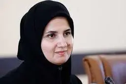 معاون حقوقی رئیس جمهور: برخی طرح‌های مجلس درحکم ورود به حوزه اجرا است
