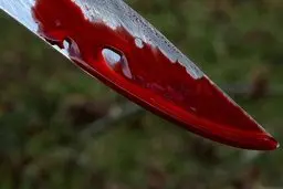 جنایت در خیابان گاندی تهران با 19ضربه چاقو | به خواستگاری ام پاسخ منفی داد حدس زدم پای فرد دیگری در میان است