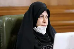عضو شورای شهر: تهرانی‌ها بیشتر از سایر هموطنان در معرض بیماری روانی هستند