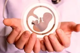 پرداخت ۹۰ درصد هزینه خدمات ناباروری توسط تامین اجتماعی | زن و شوهرهای نابارور بخوانند