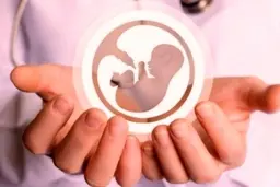 پرداخت ۹۰ درصد هزینه خدمات ناباروری توسط تامین اجتماعی | زن و شوهرهای نابارور بخوانند