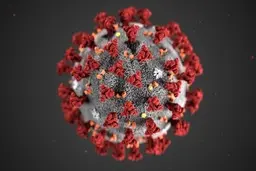 آخرین آمار کرونا در ایران؛ تعداد مبتلایان به ویروس کرونا به ۸۰۴۲ نفر افزایش یافت