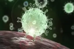 کرونا چگونه منتقل می‌شود و چه علائمی دارد؟ +اینفوگرافی