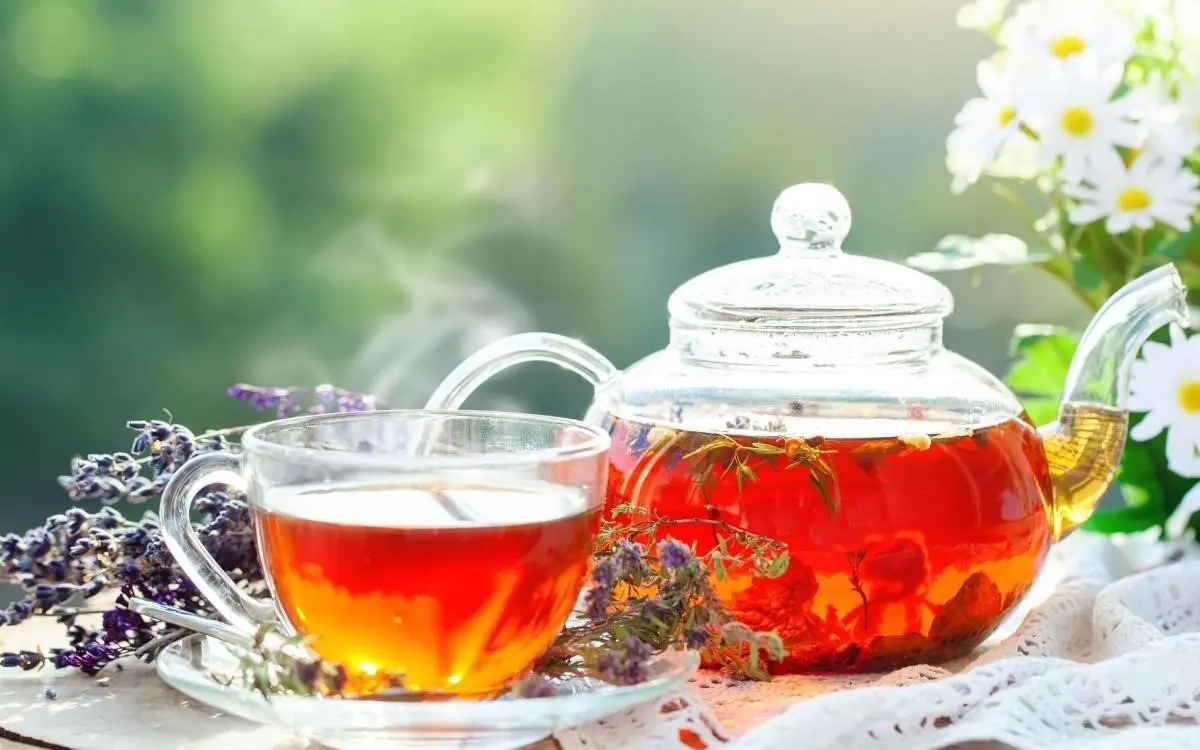 اگه میخوای چایی درست رنگ بده و اسراف نشه ببین! | نحوه صحیح دم کردن چای +ویدئو