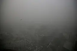 در جهان بحران آلودگی سرب/ ۸۰۰ میلیون کودکِ در معرض خطر 