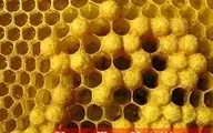 انواع عسل خوب + آموزش