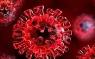 کروناویروس تا ۹ ساعت روی پوست انسان زنده می ماند
