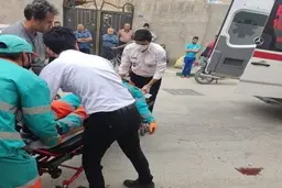 دستگیری ۳ نفر از متهمان پرونده قتل پاکبان مشهدی