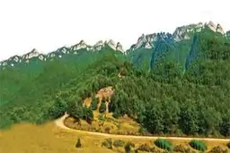 نجات جنگل هیرکانی آق‌مشهد