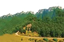 نجات جنگل هیرکانی آق‌مشهد