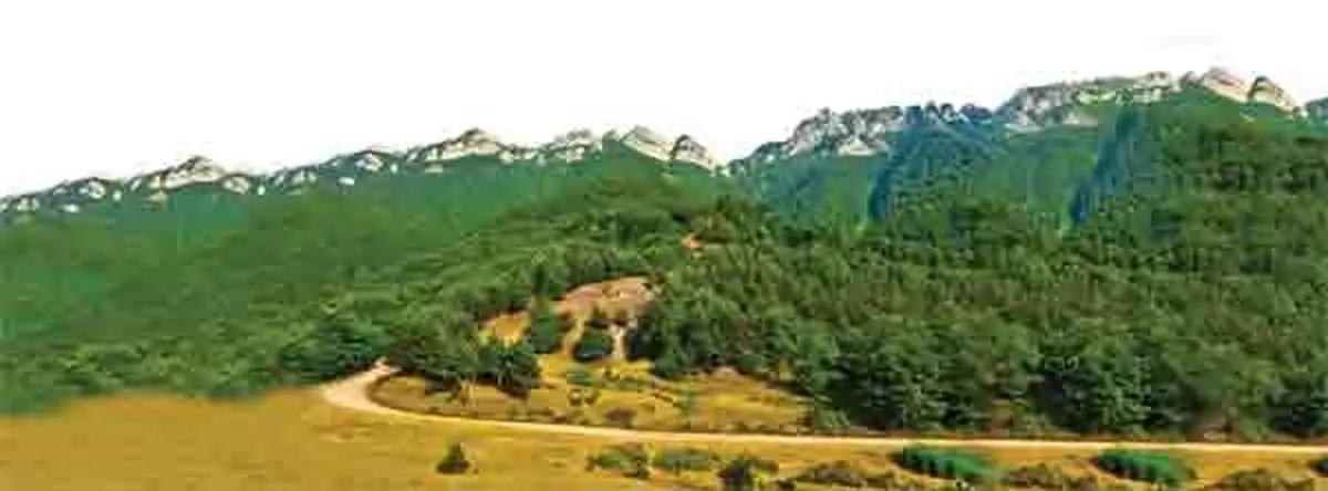 نجات جنگل هیرکانی آق‌مشهد