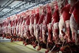 قیمت رسمی گوشت امروز 14 خرداد | اعلام قیمت جدید | هر کیلو گوشت گوساله چند؟