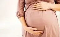 علت حالت تهوع دوران بارداری کشف شد! | دانشمندان دلیل حالت تهوع زنان باردار را کشف کردند