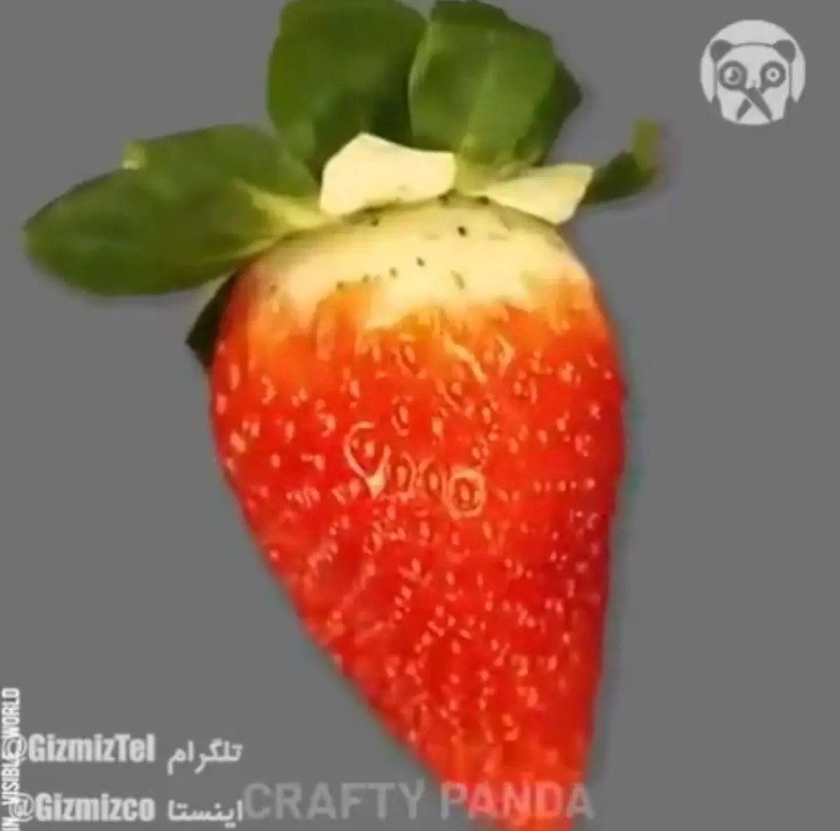 اشیا مختلف را زیر میکروسکوپ‌ تماشا کنید | از خودکار تا گوشی موبایل و توت فرنگی!+ویدئو 