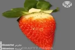 اشیا مختلف را زیر میکروسکوپ‌ تماشا کنید | از خودکار تا گوشی موبایل و توت فرنگی!+ویدئو 