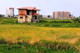 دست‌درازی به ۳۴هزارهکتار از اراضی کشور  در یک دهه گذشته 