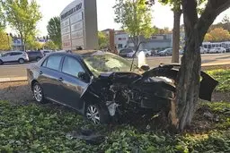 روزانه چند نفر بر اثر تصادف ناشی از مصرف الکل کشته می‌شوند؟