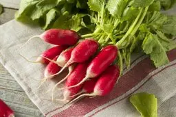 فوت و فن کاشت تربچه در گلدان | تربچه را در کدام فصل می توان کاشت؟