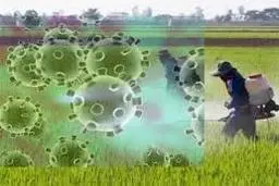  با کم‌‌آبی و کرونا کام کشاورزان تلخ شد