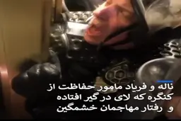 ناله و فریادهای مامور حفاظت از کنگره که لای در گیرافتاده ورفتار مهاجمان خشمگین + ویدئو
