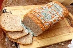 به این خوراکی ها لب نزنید | کپک پنهان این خوراکی‌ها سلامتی تان را تهدید می کند