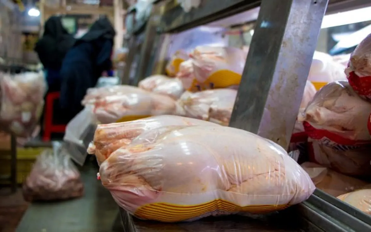 فروش مرغ کمتر از نرخ مصوب | قیمت مرغ تا پایان ماه تغییر نمیکند