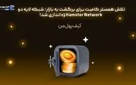 تلاش همستر کامبت برای برگشت به بازار؛ شبکه لایه دو Hamster Network راه‌اندازی شد!