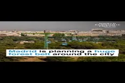 ایده مسئولین شهرمادرید برای تمیز کردن هوا + ویدئو