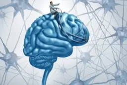 مغز یا ذهن؟ راز ناکامی در درک 7 تفاوت این دو نهفته است!