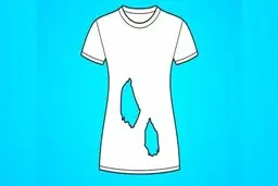 تست هوش | تعداد سوراخ‌های روی لباس چند تاست؟ | فقط باهوش‌ها میتوانند بفهمند! + پاسخ