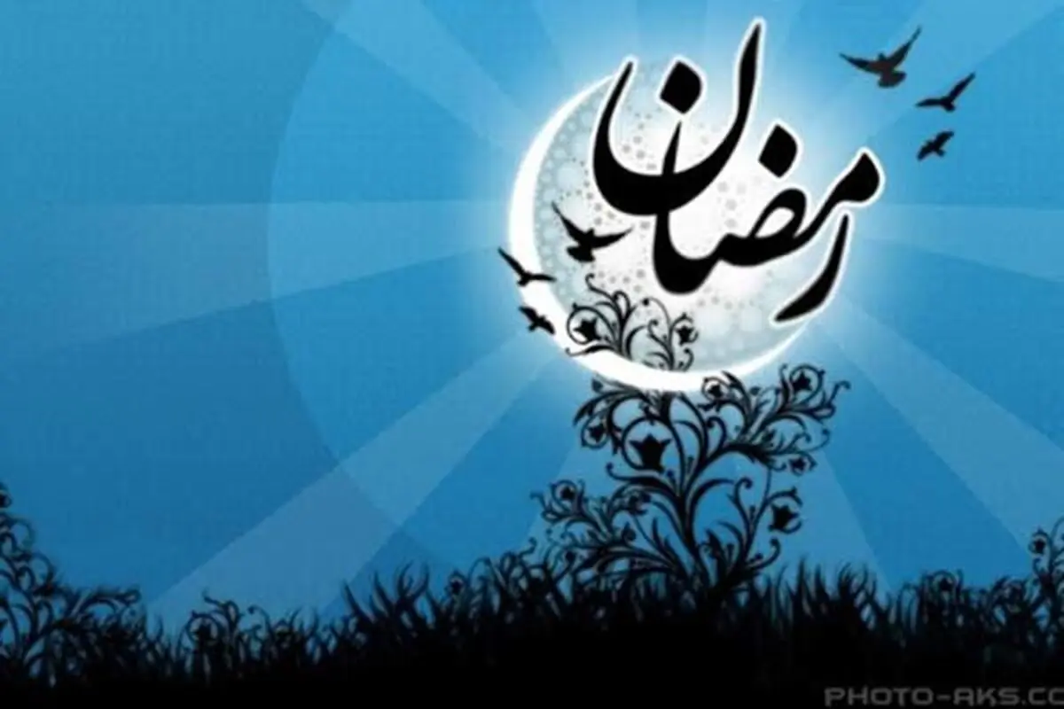ناتوانی در تطبیق‌پذیری
