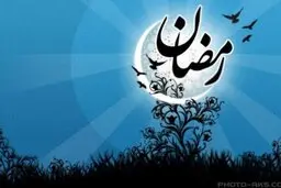ناتوانی در تطبیق‌پذیری
