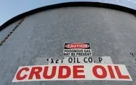 
 اوپک هشدار  داد   | ریزش قیمت نفت معکوس شد
