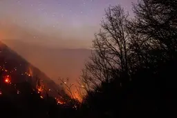 عامل آتش‌سوزی جنگل‌های هیرکانی در بابل دستگیر شد | مقام قضایی: فرد دستگیر شده گفته به خاطر تهیه پایه‌های چوبی در سه نقطه از جنگل‌ها آتش‌افروزی کرده