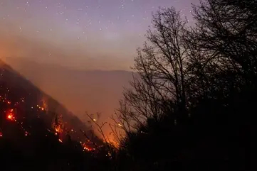 عامل آتش‌سوزی جنگل‌های هیرکانی در بابل دستگیر شد | مقام قضایی: فرد دستگیر شده گفته به خاطر تهیه پایه‌های چوبی در سه نقطه از جنگل‌ها آتش‌افروزی کرده