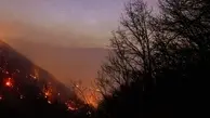 عامل آتش‌سوزی جنگل‌های هیرکانی در بابل دستگیر شد | مقام قضایی: فرد دستگیر شده گفته به خاطر تهیه پایه‌های چوبی در سه نقطه از جنگل‌ها آتش‌افروزی کرده