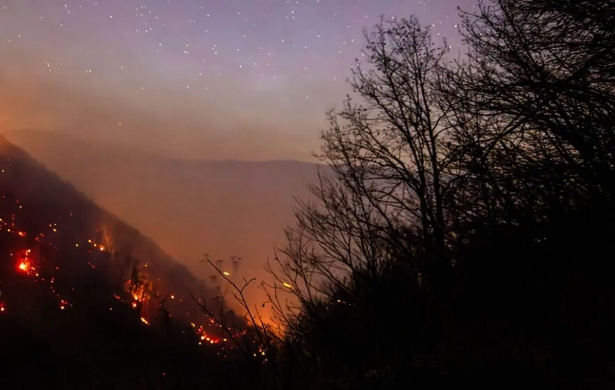 عامل آتش‌سوزی جنگل‌های هیرکانی در بابل دستگیر شد | مقام قضایی: فرد دستگیر شده گفته به خاطر تهیه پایه‌های چوبی در سه نقطه از جنگل‌ها آتش‌افروزی کرده