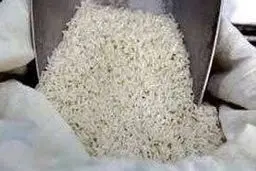  راه حل طبیعی برای کنترل آفت انباری برنج 