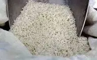  راه حل طبیعی برای کنترل آفت انباری برنج 