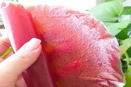 طرز تهیه لواشک چند میوه | به سادگی در خانه لواشک بسازید