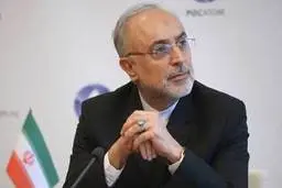 صالحی: رهبری مخالفتی با مذاکره هسته ای ما با آمریکایی ها نکردند