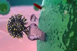 دانشگاه علوم پزشکی گیلان: اخبار منتشره در خصوص ابتلا به ویروس کرونا در گیلان شایعه است
