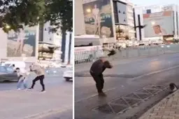 کلاغ های مزاحم در ترکیه | حمله کلاغها به عابران در استانبول