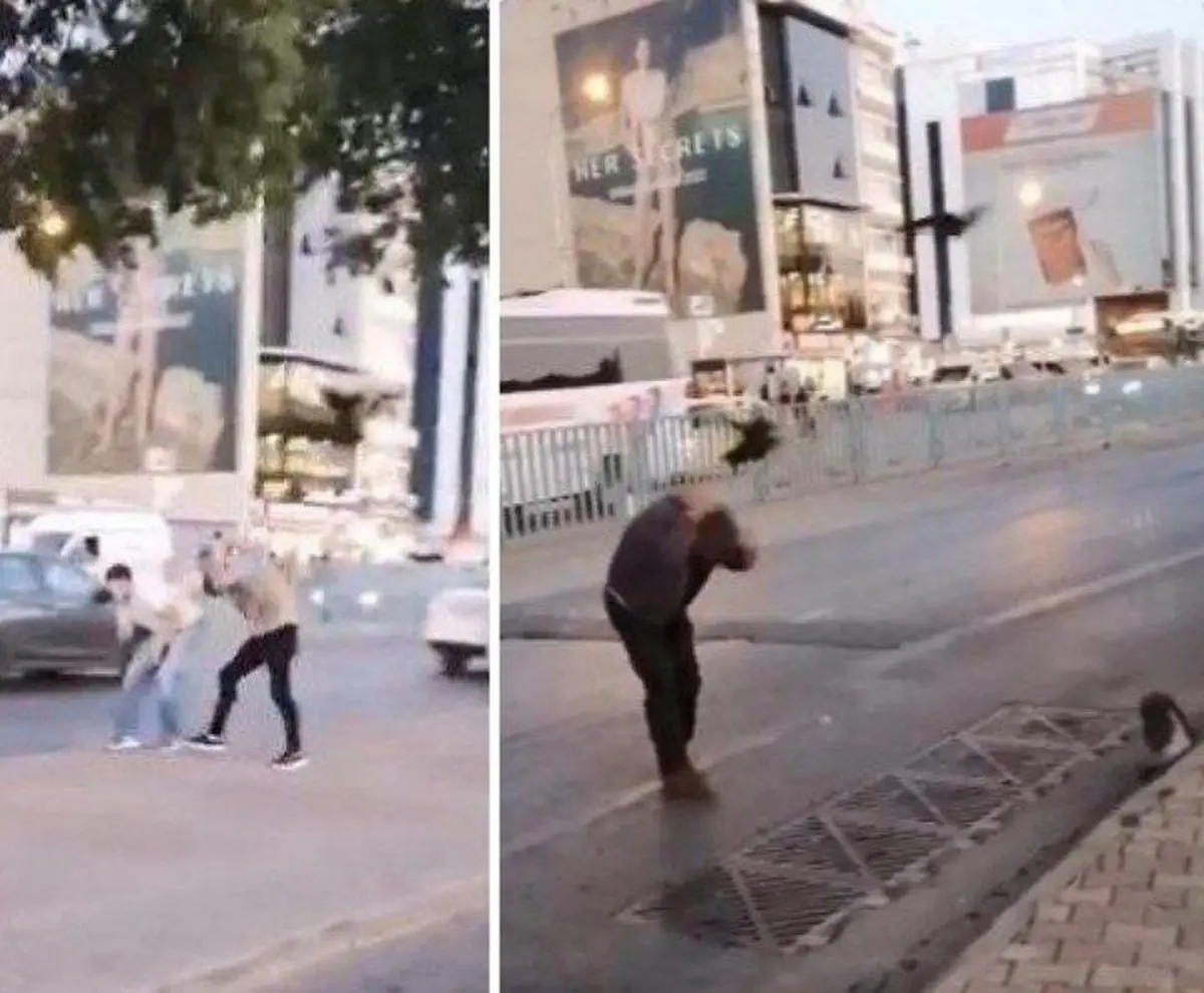 کلاغ های مزاحم در ترکیه | حمله کلاغها به عابران در استانبول