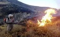  کوه‌های فیروزآباد در شعله های آتش سوخت 