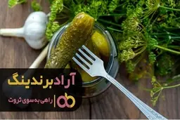 تفاوت خیار شور صنعتی با خانگی در چیست؟